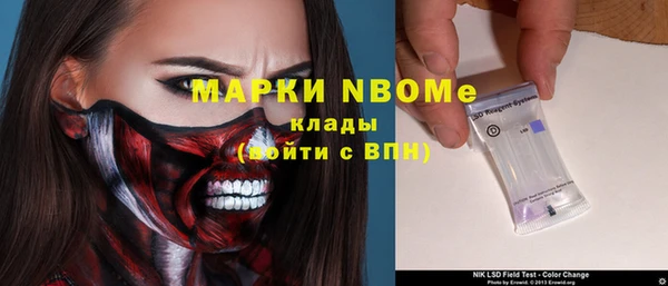 прущие грибы Вязьма