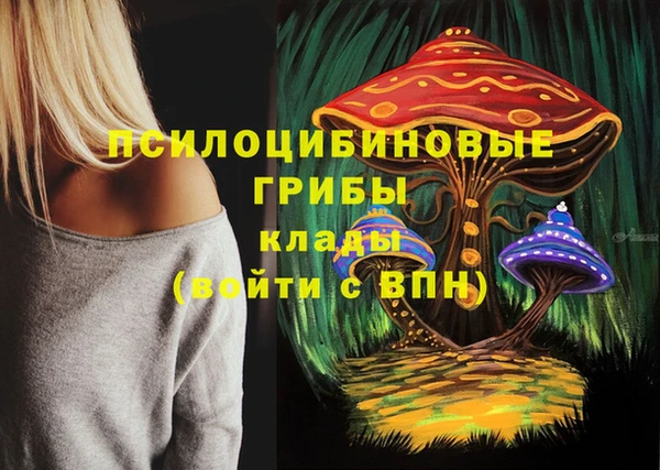 прущий лед Вязники